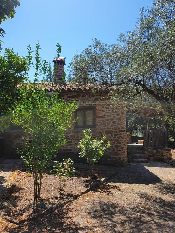 One-Bedroom House,1136746324:JPEG