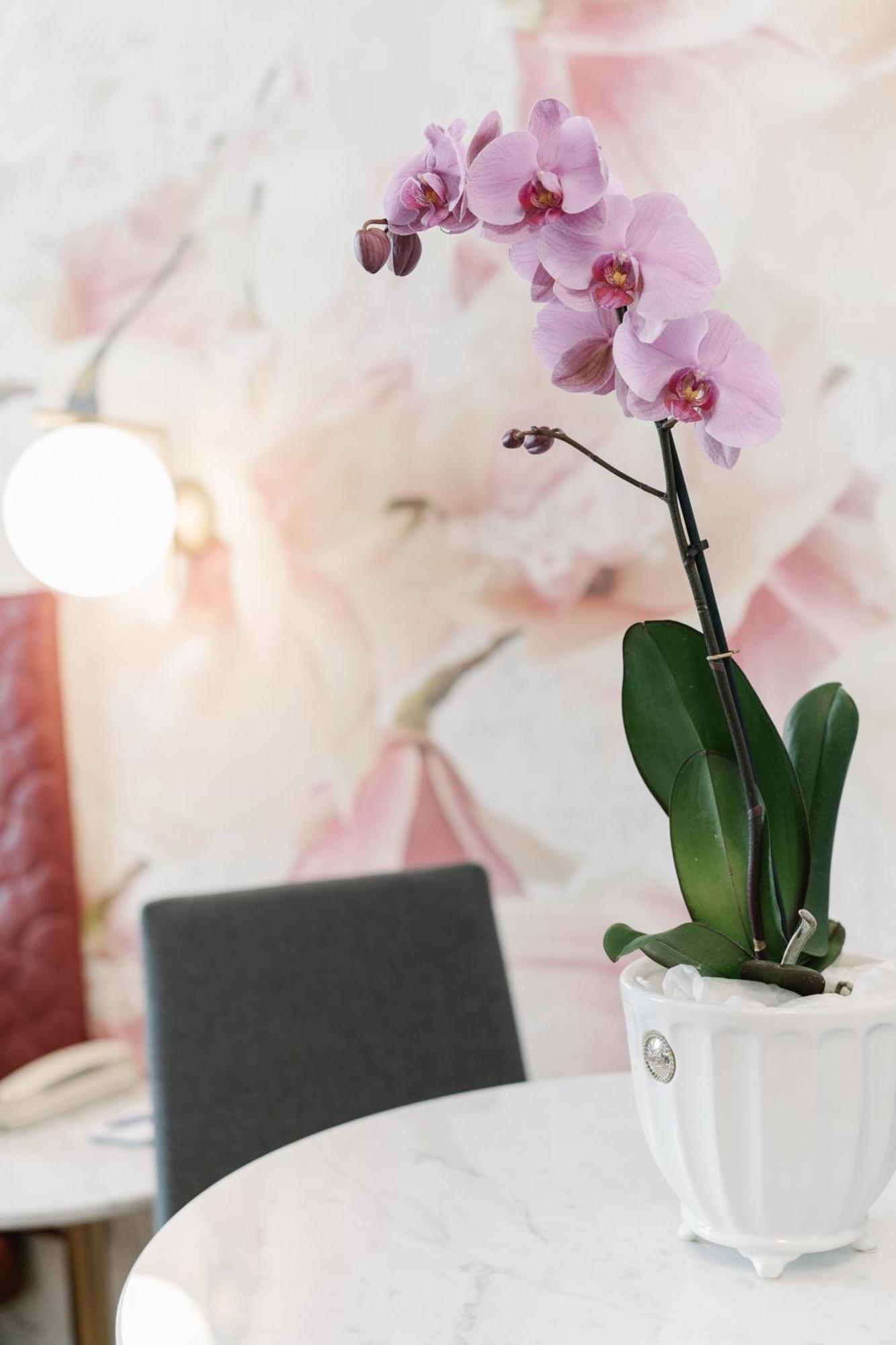 Suite con terraza