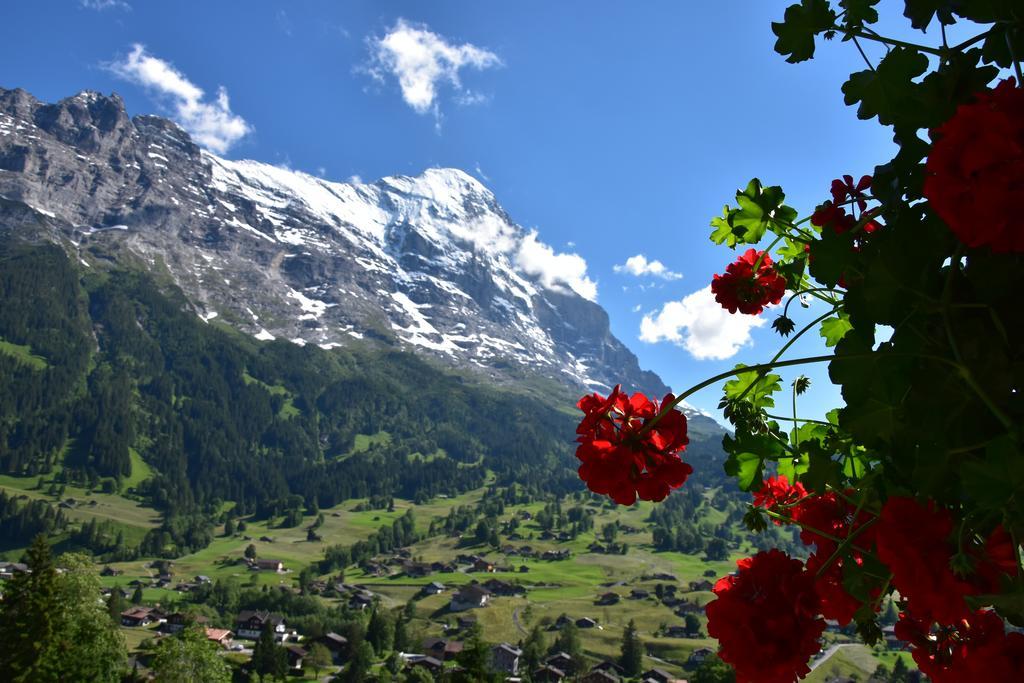 Habitación Doble Superior con balcón y vistas al Eiger