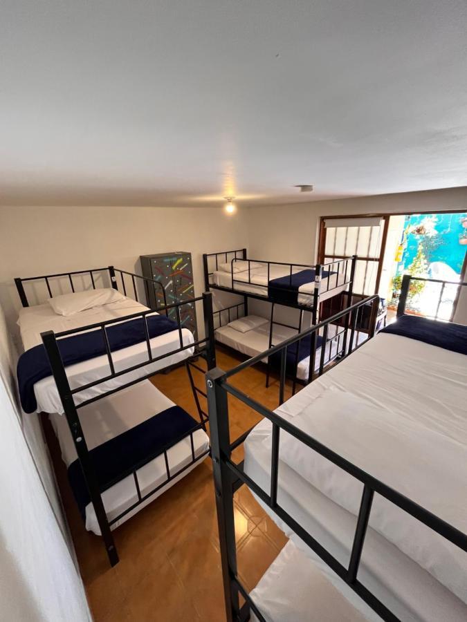 Bed 6-Bed Mixed Dormitory Room