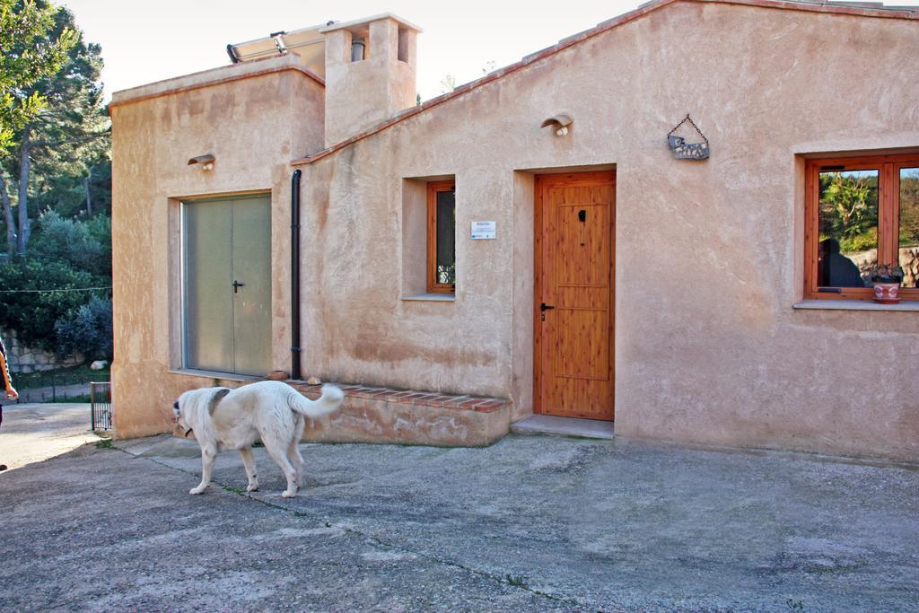 Apartamento de 2 dormitorios con balcón