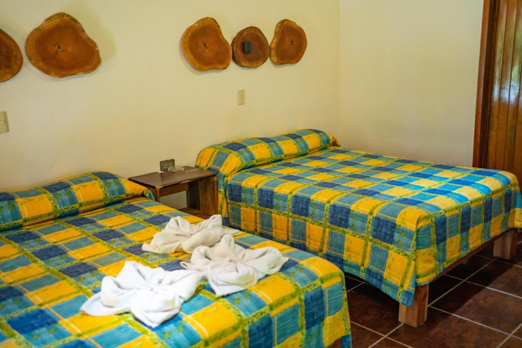 Habitación Doble Económica - 2 camas