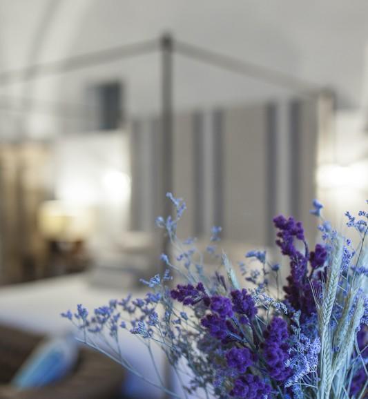 Suite,229535596:JPEG