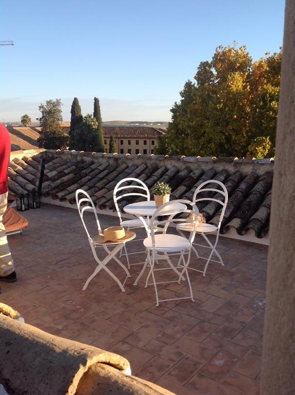 Penthouse Cathedral,305271777:JPEG