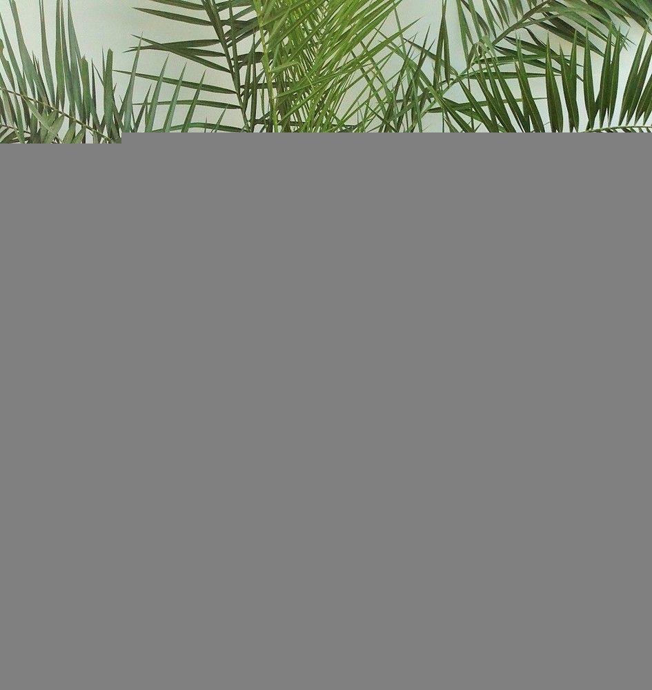 Classic Double Room,1165571037:JPEG