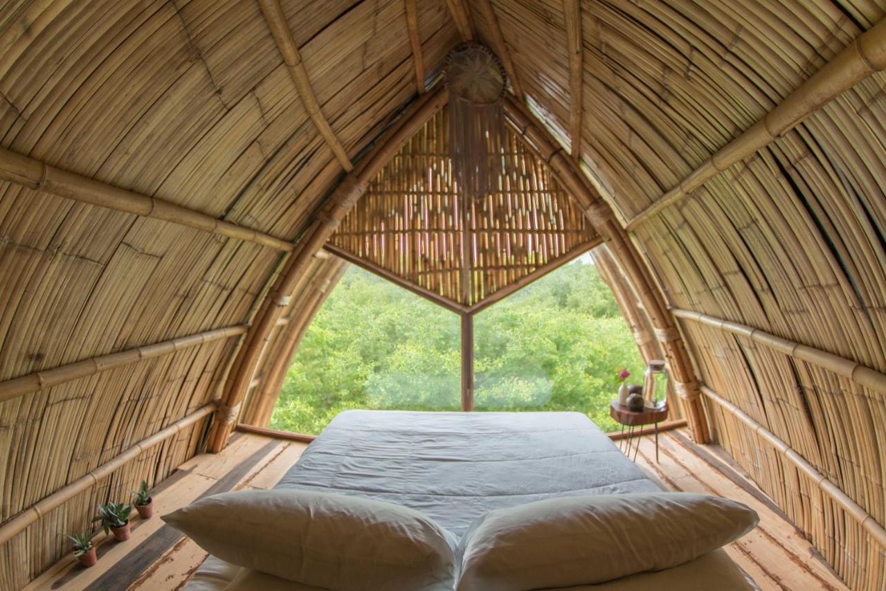 Suite Superior