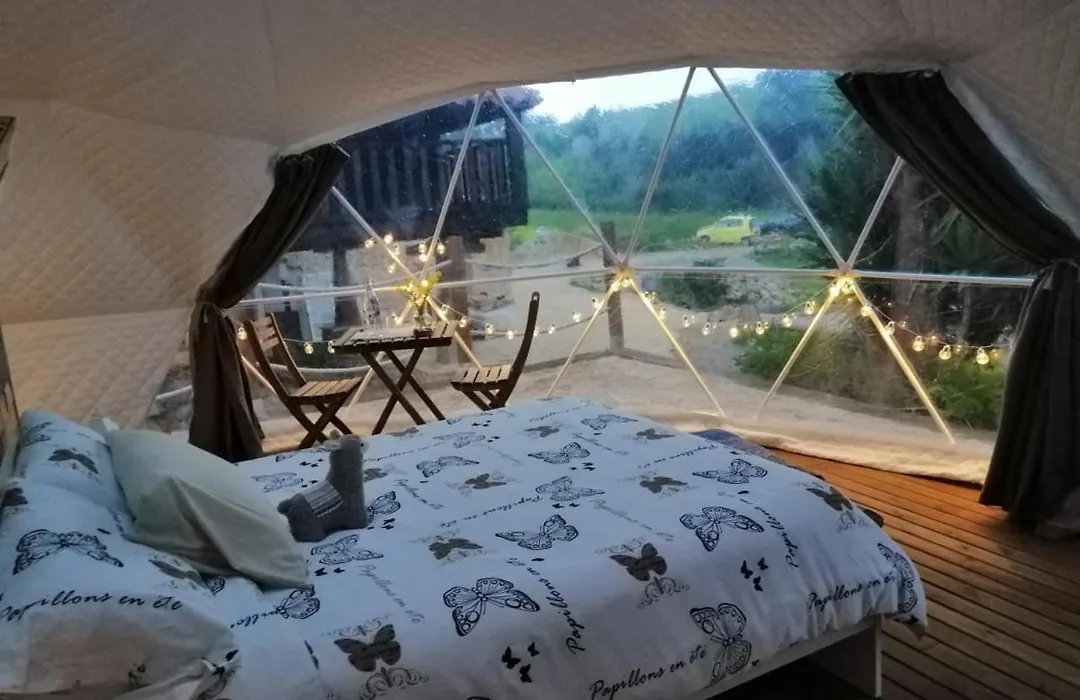 Glamping Quintana-1