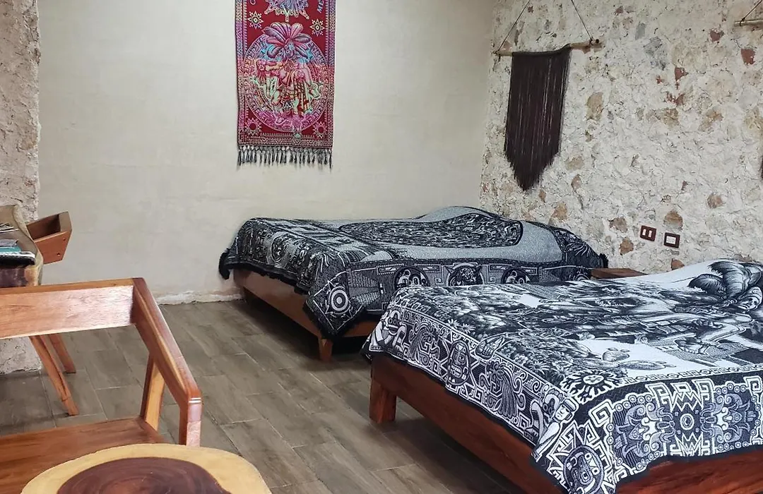 Casa los Jarochos-1