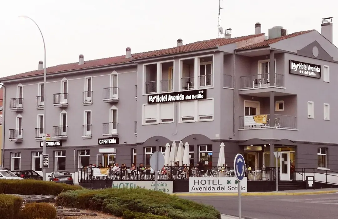 Hotel Avenida del Sotillo-1