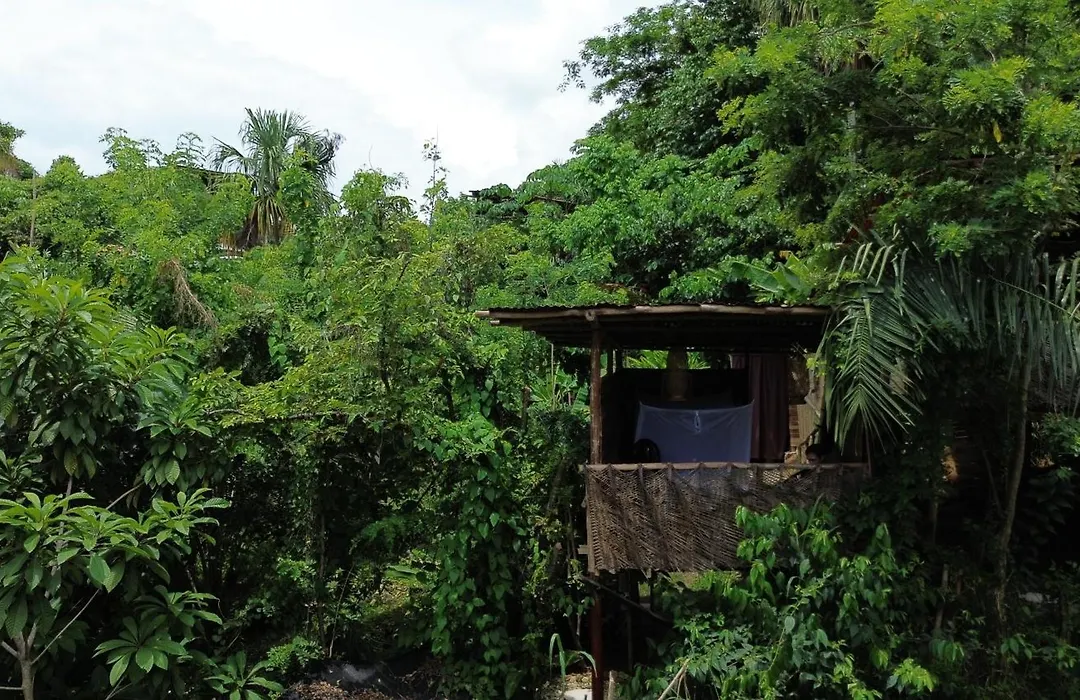The Valley Tayrona Hostel- A Social Jungle Hostel-1