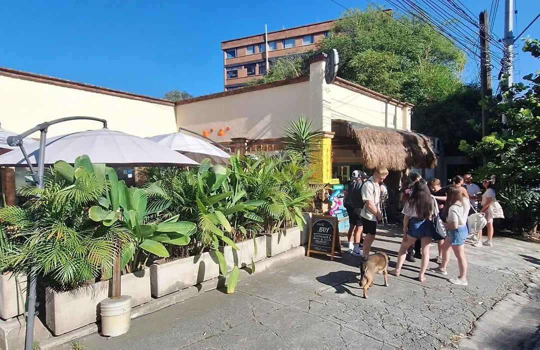 Yolo Hostel Medellin-1