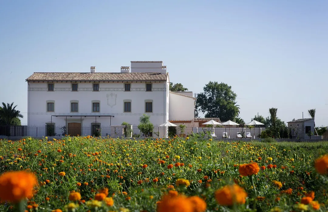 La Mozaira-1