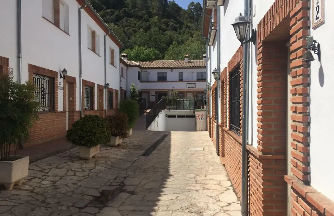 Alojamiento Rural Los Olivos-1