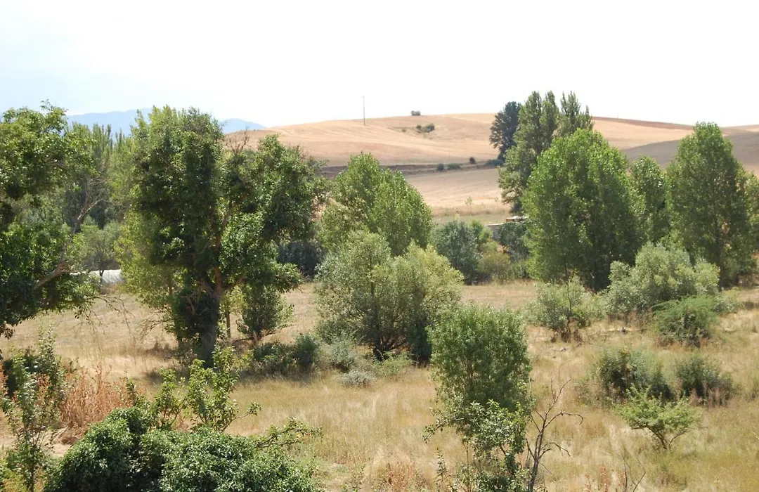 Casa Luna Lunera-1