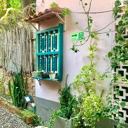 Hostel Musa Paradisiaca-3