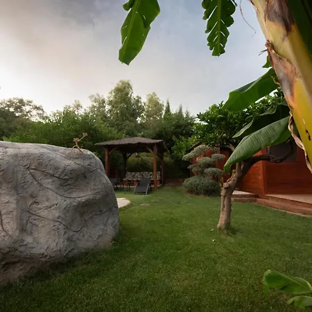 El jardín del Edén-2