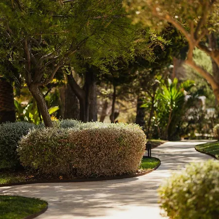 Secrets Mallorca Villamil Resort & Spa - Adults Only-2
