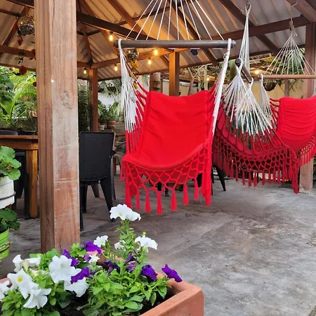Hostal Hilltop Salento-2
