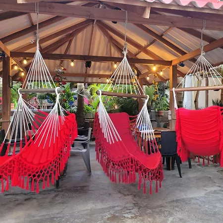 Hostal Hilltop Salento-3