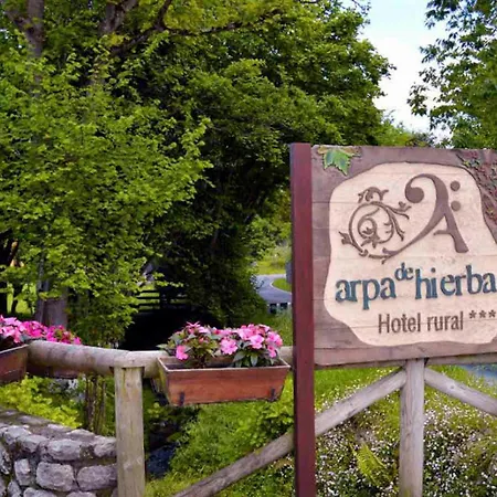 Hotel Rural Arpa de Hierba-3