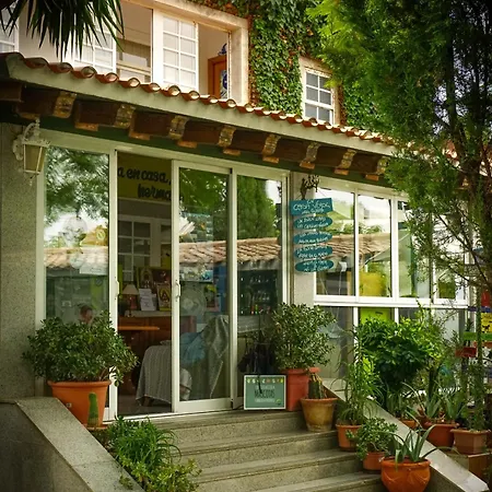 La Casa Verde-3