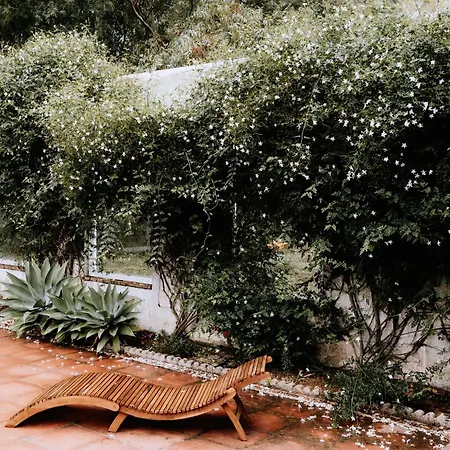 Finca Laida-3