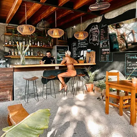 Mimosa Tulum-2