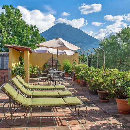 Hotel Las Camelias Inn by AHS-2