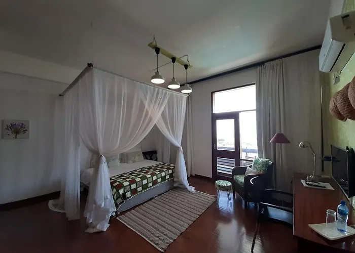 Figtree Guesthouse