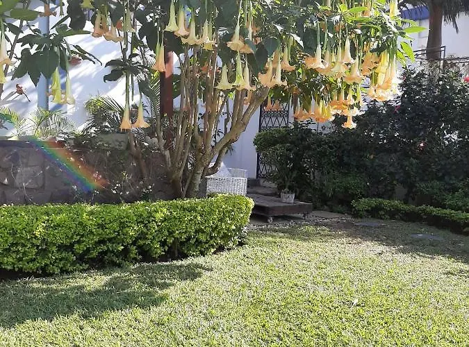 Figtree Guesthouse