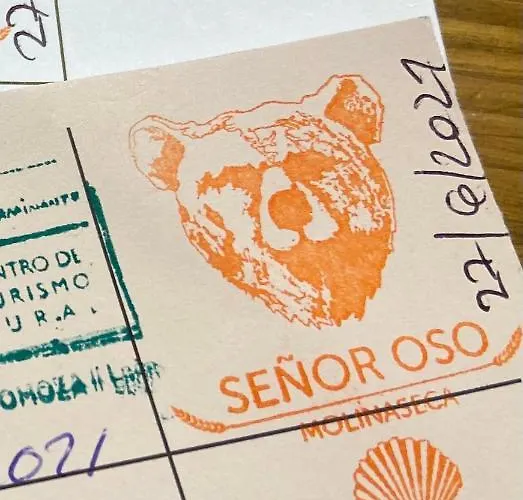 Albergue: Señor Oso