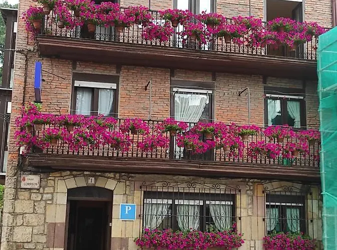 Hotel: Pensión Rosa