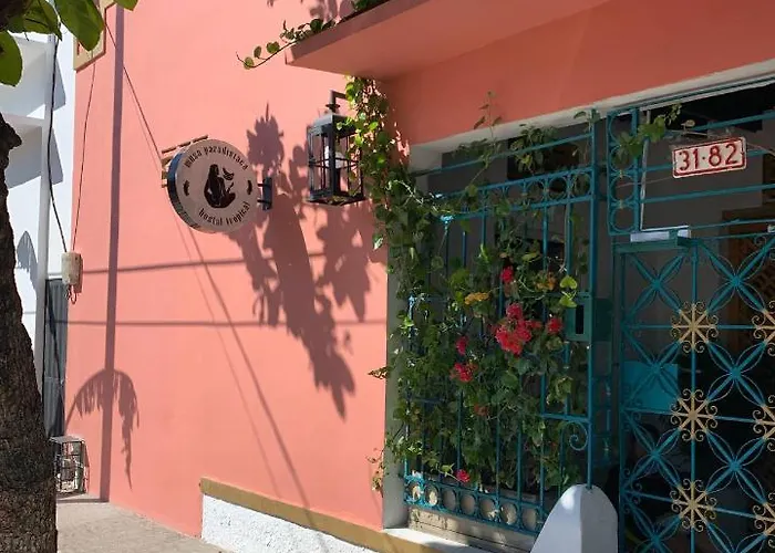Hostel Musa Paradisiaca