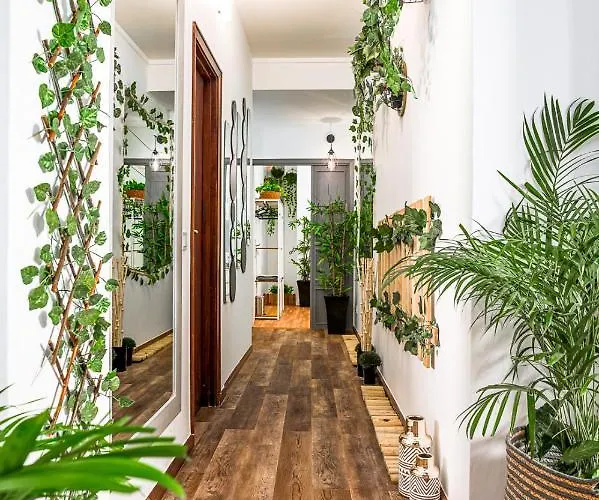 Hotel cerca del aeropuerto: Avenue View Rooms - Guest House