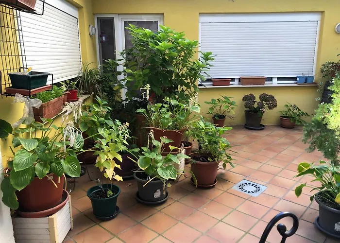 Hotel céntrico: Hostal Escartín