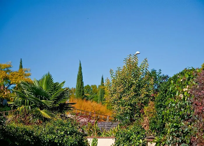 Sin servicio: Aparthotel Convencion-Barajas