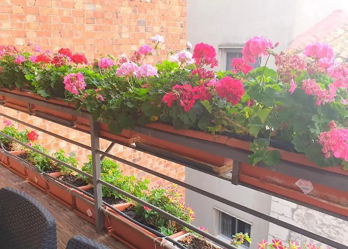 Alquiler de vacaciones: Pensión Casa Mika