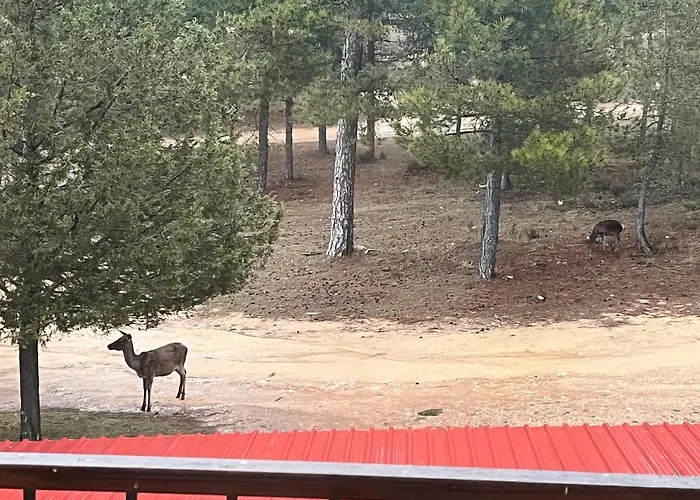 Hostal Ciudad Encantada