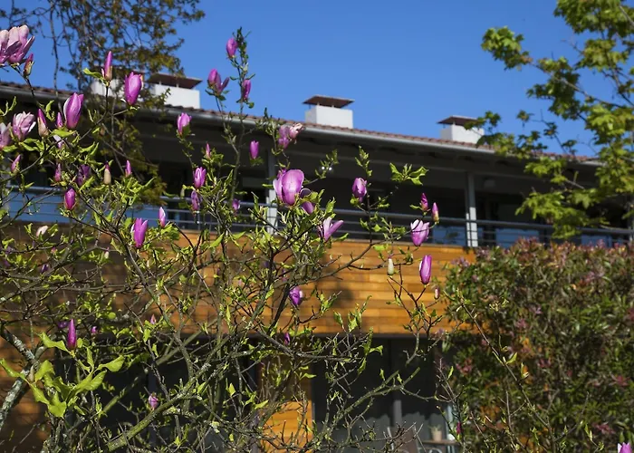 Alquiler de vacaciones: Apartamentos Casona de la Paca
