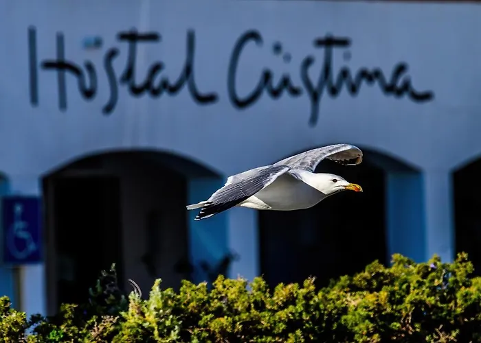 Hotel cerca del colegio: Hostal Cristina