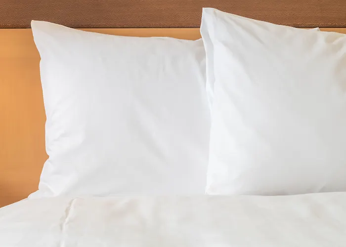 Holiday Inn - Golden Gateway Newly Renovated With No Resort Fee