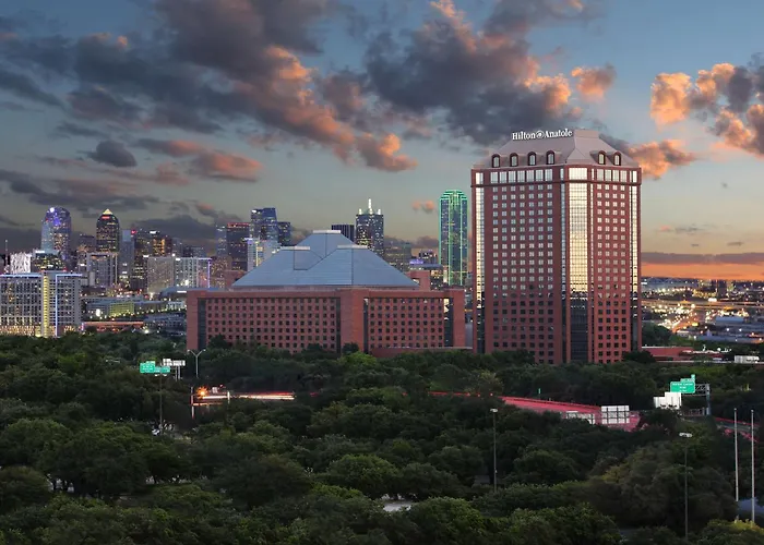 Hotel Ping Pong: Hilton Anatole
