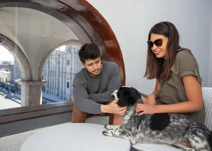 Hoteles que admiten perros en Arequipa 