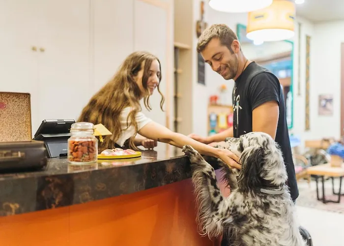 Hoteles que admiten perros en Gijón 