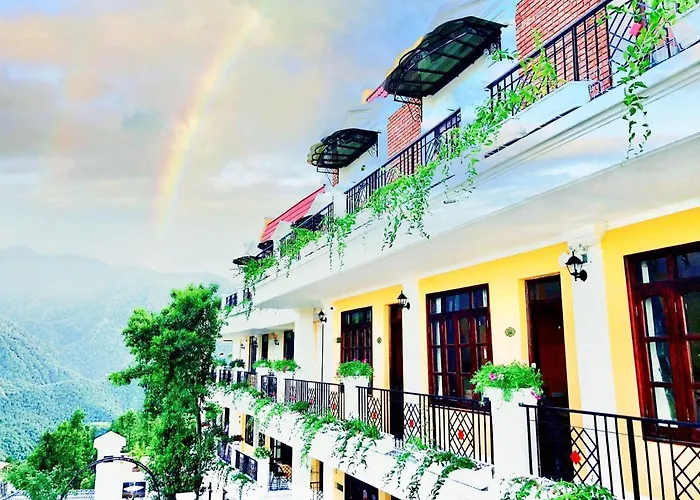 Cat Cat Galerie D'Art