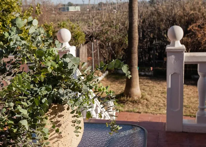 Casa Rural La Palmera