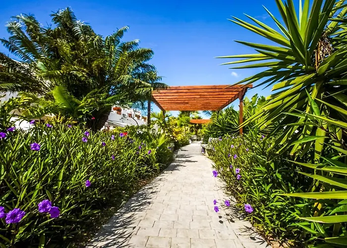 Hotel céntrico: Parque don Jose apartment