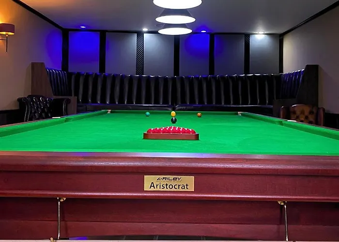 Hotel The Pleasure Dome Amed admite animales