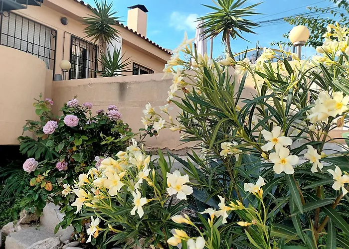 Guesthouse En Coveta Fuma- El Campello