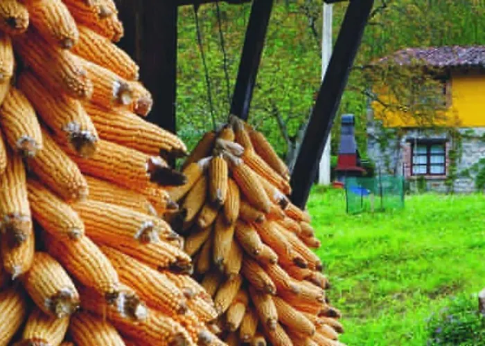 La Rotella, calma al lado de Cangas de Onís